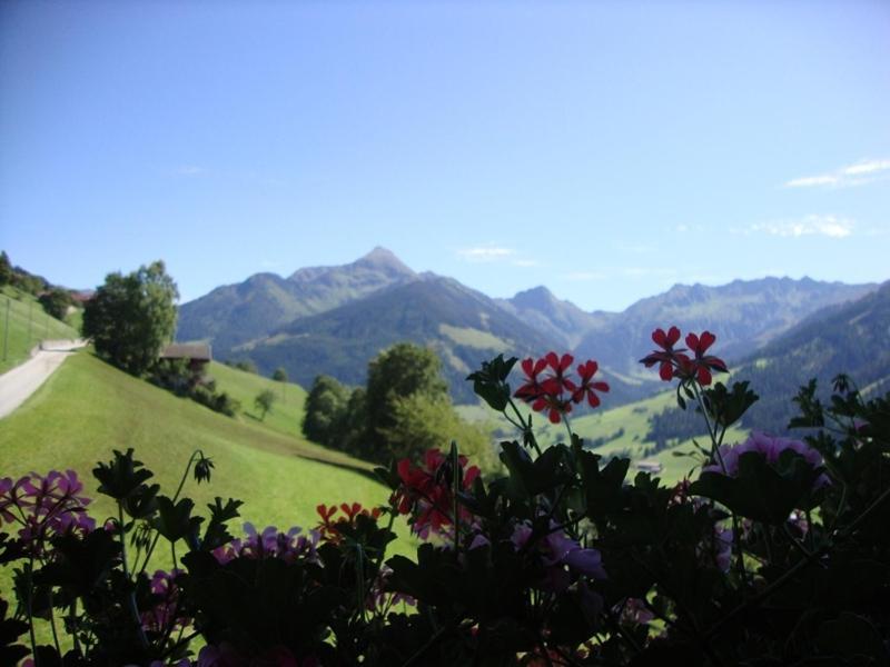 Hotel Alpengasthof Rossmoos Alpbach Esterno foto